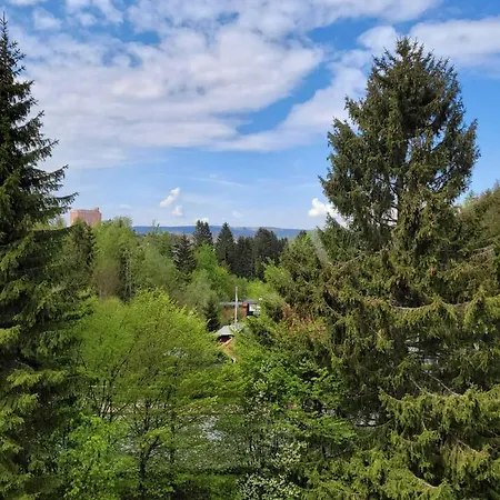 Apartmán Eulennest,parkplatz,waeschepaket,reinigung Inklusive Altenau (Lower-Saxony)